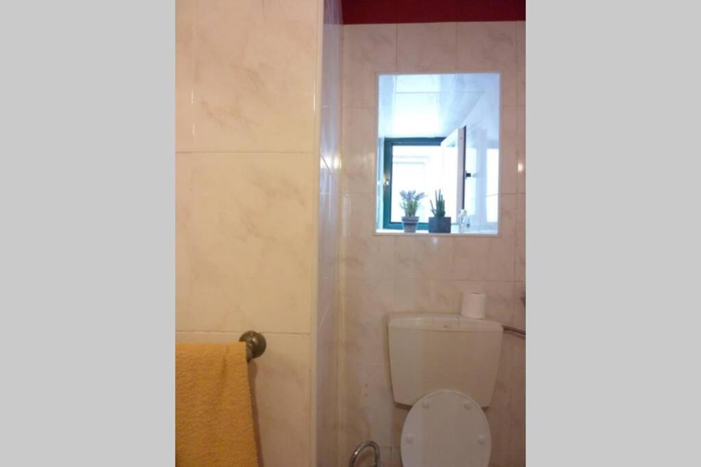 Casa Da Carqueja 1 Apartment Коимбра Екстериор снимка